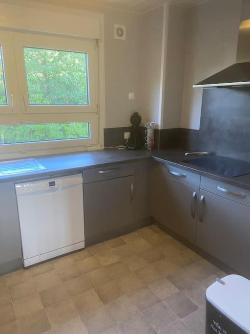 Bel Appartement Avec Balcon Saint-Die-des-Vosges Extérieur photo